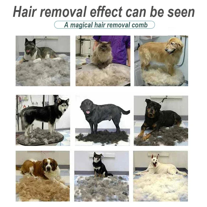 Pet Brush for Dogs Cats Grooming